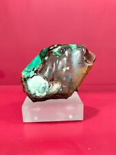 Rare mix color green blue brown petrified wood polished 372gr (6x9x7cm) 436 picture