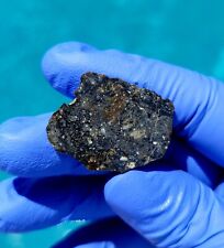 Meteorite**NWA 13788, LUNAR MELT BRECCIA*10.222 gram gorgeous endcut Rare picture