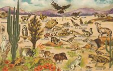 Desert Wildlife - 30 Animals - 1966 picture