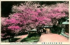 Vtg Postcard 1910s Nagasaki Hoataru-Chaya Cherry Blossoms - Unused Tinted picture