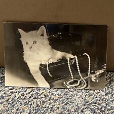 Squeaker Postcard Cat in Jewelry Box Rhodania Lyon Unposted Vintage  picture
