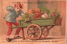 1880s-90s Man Pushing Cart Vegetables w/ Faces Merrill & Mackintires Trade Card picture