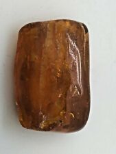 Ancient Baltic Amber - 50/60 MYO  -TWO Unidentified Insects Inside - 01177 picture