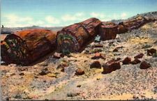 Adamana, Arizona - Petrified Forest - Woods or Logs of Stone - Vintage Postcard picture