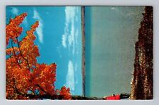 Mi-Michigan, Enjoying Colorful Autumn Splendor, Lake Vintage Souvenir Postcard picture