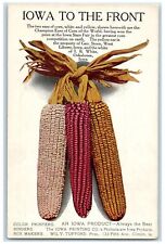 c1905's Iowa To Front Two Ears Of Corn White Red Yellow Oskaloosa Iowa Postcard picture