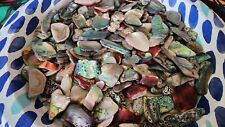 Polished Red Abalone Shell Pieces: Small to Medium Sizes 1/4 lb Bag picture