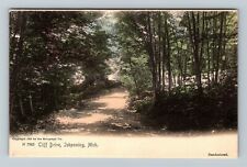 Ishpeming, MI-Michigan, Scenic Greeting, Cliff Drive, Vintage Postcard picture