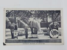 Vintage 1942 St. Louis Zoo Glossy Postcard Elephant Training Circus Antique  picture