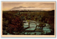 c1920's Rice Field Before Planting Volcano View Unposted Antique Postcard picture