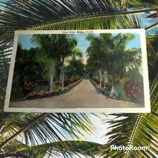 1927 Miami Florida Postcard Palm Walk E.C. Kropp Co picture