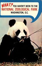 Washington DC National Zoological Park Zoo Giant Panda Bear Ling Ling Postcard picture