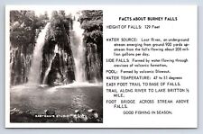Postcard RPPC Burney Falls State Park CA Unposted picture