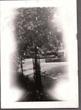 VINTAGE PHOTOGRAPH 1920'S HOUSES/HOMES PIT-BULL TERRIER DOG/PUPPY OLD PHOTO picture