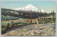 Mount Hood Oregon 11,225 High Scenic View 1908 Postcard - Posted to The Dalles picture