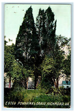 c1910 Big Trees, Powhatan's Grave, Richmond Virginia VA Unposted Postcard picture