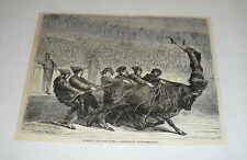 1878 magazine engraving ~ ACROBATIC BULLFIGHTING, Spain picture