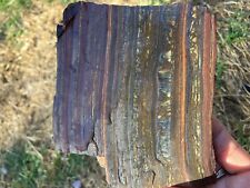 Tiger Iron Slab  picture