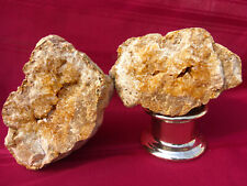 9LB Natural Golden Citrine Color Crystal Kentucky Geode Pair | Healing Therapy picture