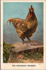 c1930s HOT SPRINGS, Arkansas Postcard 