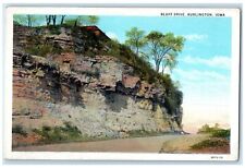 c1940s Bluff Drive Scene Country Road Burlington Iowa IA Unposted Trees Postcard picture
