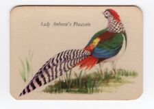 Cereal Foods Australia Bird Card 1960 #14 - Lady Amherst's Pheasant picture