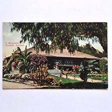 Bungalow Phoenix AZ Arizona Postcard Tropical picture