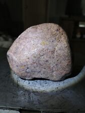 14OZ Stone Rock Lapidary Raw Lake Superior Landscaping Display Conglomerate picture