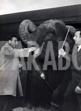 Vintage Press Photo Animals, Renato Rascel With L'Elephant, 1960, print picture