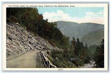 c1920's Cold River From The Mohawk Trail Through The Berkshires MA Postcard picture