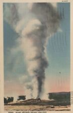 Giant Geyser Height 250 Ft Posted Yellowstone Nat Park WY Vintage Linen PostCard picture