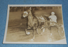 1974 Harness Racing Press Photo Horse 