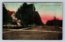 Sebewaing MI-Michigan, North Center Street, Antique, Vintage c1912 Postcard picture