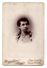 C. 1890s CABINET CARD WILSON GORGEOUS YOUNG LADY IN FANCY DRSS CHICAGO ILLINOIS picture