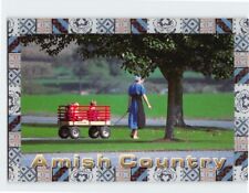 Postcard Simple and Plain Amish Lifestyle Amish Country Pennsylvania USA picture