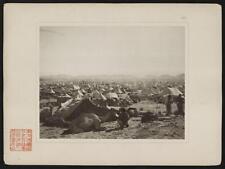 1889 Arafah,Mecca,Saudi Arabia,Hajj,Min�,Stoning of the Devil,Tired Camel picture