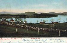 1906 Wolfeboro New Hampshire View of Bay Rock Wall Cottages Shoreline Postcard picture