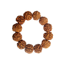 Seven 7 Mukhi Rudraksha Bracelet / Nepal Beads / Certified / Yoga / Energized picture