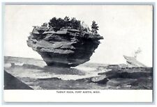 c1940s Turnip Rock Trees Scene Port Austin Michigan MI Unposted Vintage Postcard picture