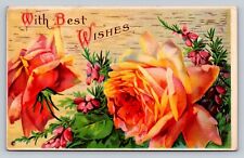 Best Wishes Pinkish Peach Roses 