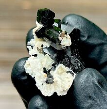 SHINY Terminated BLACK TOURMALINE & BLUE TOPAZ Crystal Mineral - Erongo, NAMIBIA picture
