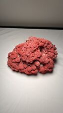 Real Red Coral Natural Decoration picture