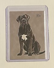 Cane Corso Limited Edition Artist Signed “Man’s Best Friend” Trading Card 1/10 picture