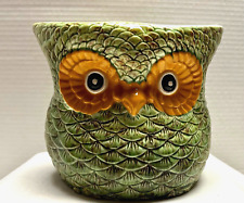 1970s Vintage Green Ceramic Owl Planter, Utensil Jar, Orange Eyes~Holland Mold picture