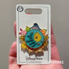 Disney Pin authentic Winnie the pooh spinner Disneyland exclusive picture