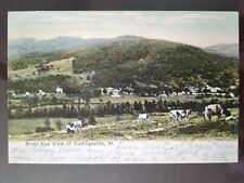 Birds Eye View of Cuttingsville, VT - 1908, Rough Edges picture