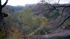 Photo 6x4 Castle Eden Dene Peterlee The densely wooded valleys of Blunts  c2009 picture