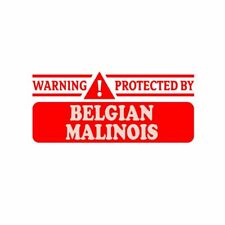 WARNING PROTECTED BY BELGIAN MALINOIS Decal Sticker picture