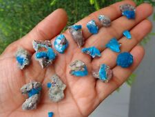 Bright Blue Cavansite On Matrix ( 15 NOS ) Minerals Specimen #F25 picture