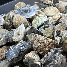 Gorgeous Mini Agate Occo Geodes - Rough Raw Halves - Healing Crystals - 1
